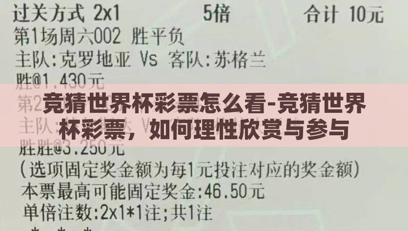 竞猜世界杯彩票怎么看-竞猜世界杯彩票，如何理性欣赏与参与，深化理性参与，高效观赏，竞猜世界杯彩票的理性之道