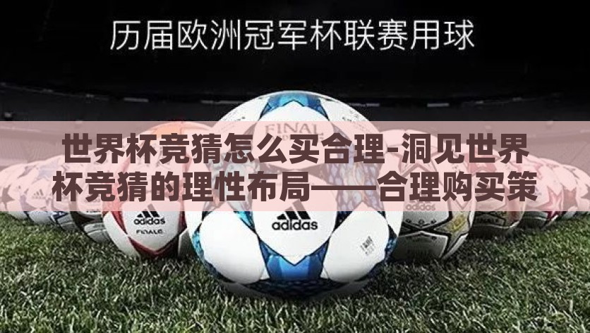 世界杯竞猜怎么买合理-洞见世界杯竞猜的理性布局——合理购买策略大揭秘，洞见理性布局，世界杯竞猜的合理购买策略大揭秘