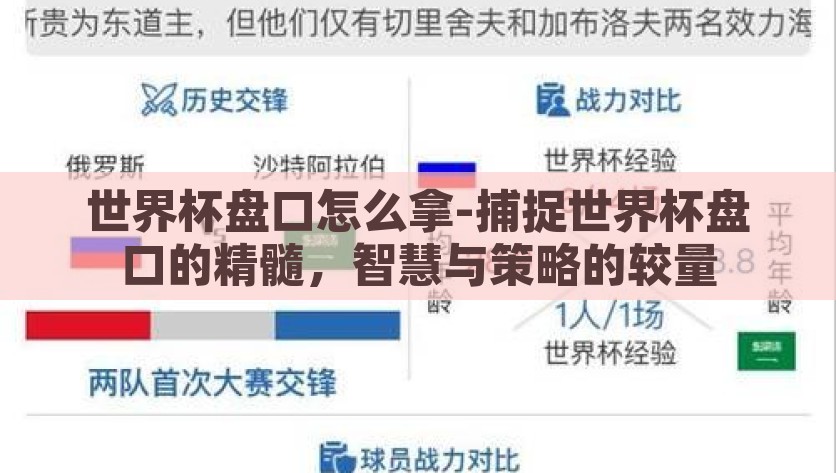 世界杯盘口怎么拿-捕捉世界杯盘口的精髓，智慧与策略的较量，捕捉世界杯盘口精髓，智慧与策略的较量
