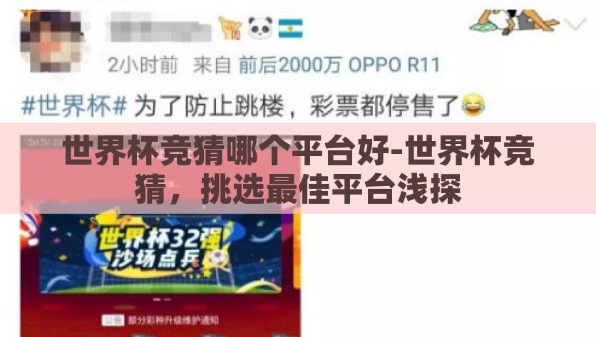 世界杯竞猜哪个平台好-世界杯竞猜，挑选最佳平台浅探，比较分析，挑选最适合您进行世界杯竞猜的在线平台