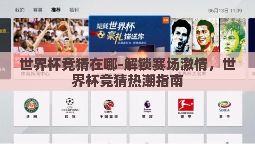 世界杯竞猜在哪-解锁赛场激情，世界杯竞猜热潮指南，解锁赛场激情，2023年世界杯竞猜热潮实战指南