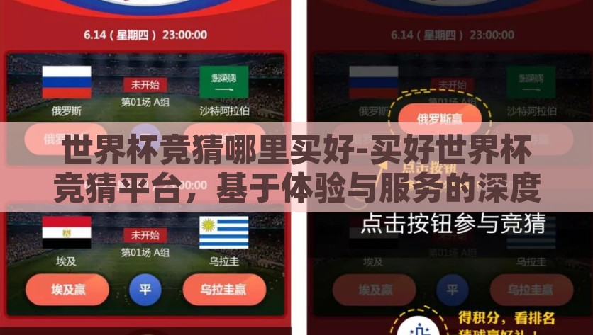 世界杯竞猜哪里买好-买好世界杯竞猜平台，基于体验与服务的深度细品，体验卓越、服务至上——深度解析优质世界杯竞猜平台