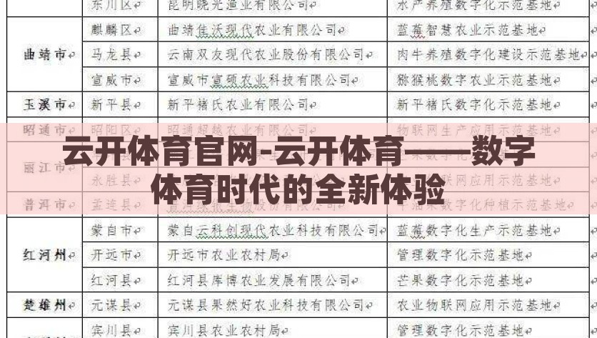 云开体育官网-云开体育——数字体育时代的全新体验，数字体育新时代，云开体育官网重塑体育体验