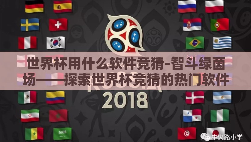 世界杯用什么软件竞猜-智斗绿茵场——探索世界杯竞猜的热门软件，探索智斗绿茵场，揭秘世界杯热门竞猜软件