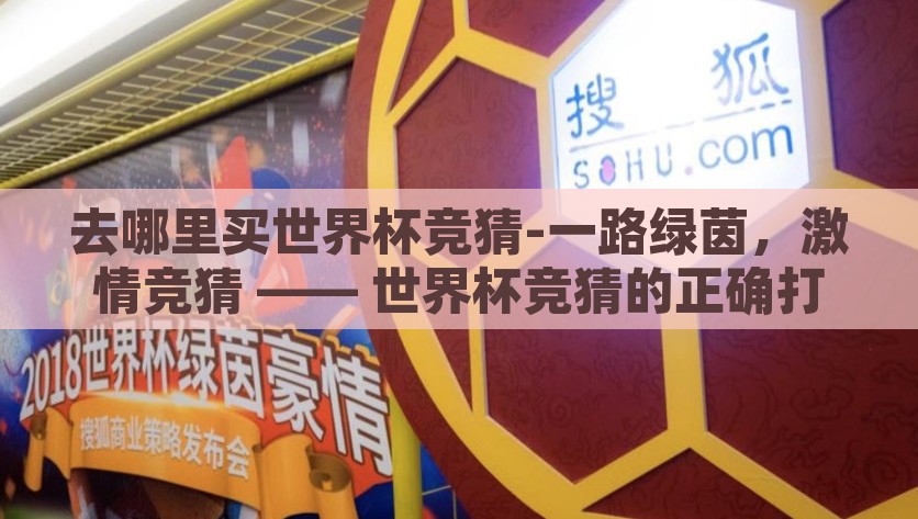 去哪里买世界杯竞猜-一路绿茵，激情竞猜 —— 世界杯竞猜的正确打开方式，一路绿茵，激情竞猜，揭秘世界杯竞猜的正确打开方式