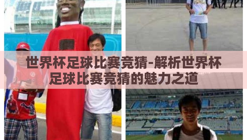 世界杯足球比赛竞猜-解析世界杯足球比赛竞猜的魅力之道，论世界杯足球比赛竞猜的魅力之源