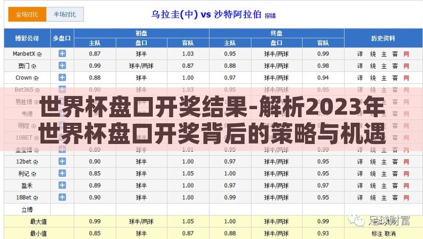 世界杯盘口开奖结果-解析2023年世界杯盘口开奖背后的策略与机遇，2023年世界杯盘口开奖策略与机遇解析