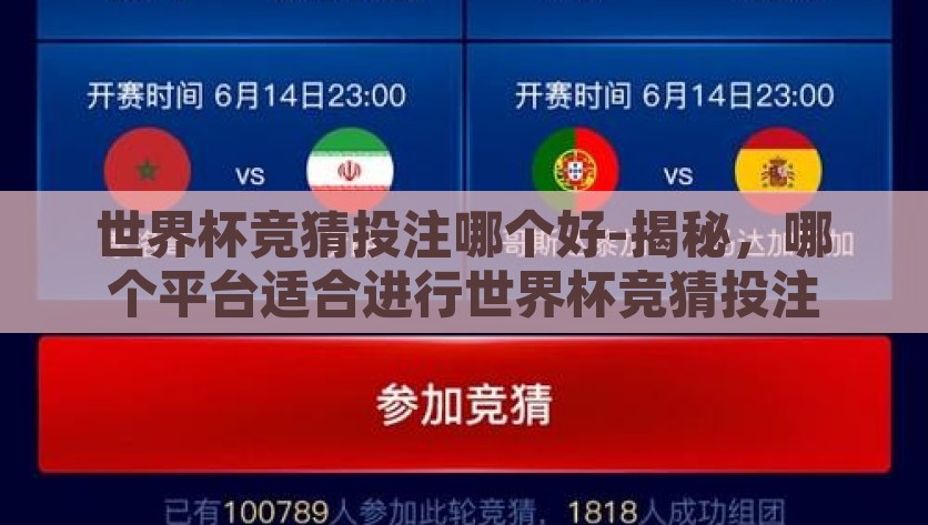 世界杯竞猜投注哪个好-揭秘，哪个平台适合进行世界杯竞猜投注，揭秘世界杯竞猜投注，选择最适合的投注平台