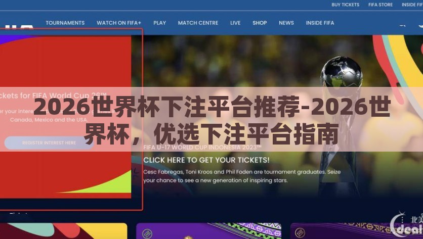 2026世界杯下注平台推荐-2026世界杯，优选下注平台指南，推荐几个2026世界杯优选下注平台