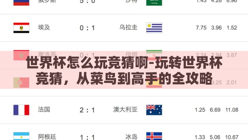 世界杯怎么玩竞猜啊-玩转世界杯竞猜，从菜鸟到高手的全攻略，探索世界杯竞猜的奥秘，菜鸟也能成为竞猜高手的全面指南