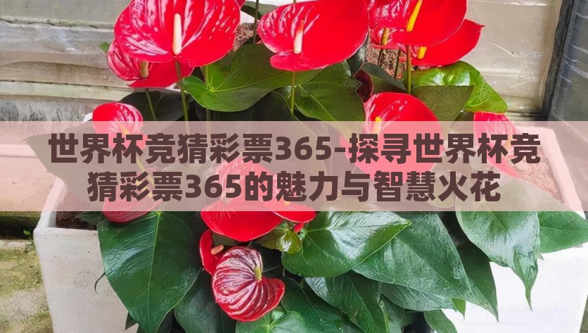 世界杯竞猜彩票365-探寻世界杯竞猜彩票365的魅力与智慧火花，探寻世界杯竞猜彩票365的魅力与智慧火花
