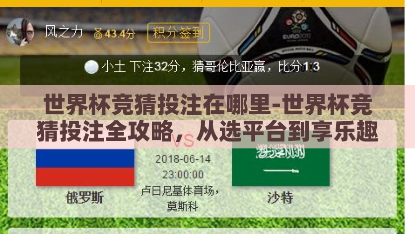 世界杯竞猜投注在哪里-世界杯竞猜投注全攻略，从选平台到享乐趣，解锁世界杯竞猜投注全攻略，从选平台到享受乐趣
