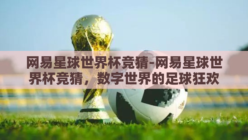 网易星球世界杯竞猜-网易星球世界杯竞猜，数字世界的足球狂欢，从网易星球看数字世界的足球狂欢，世界杯竞猜