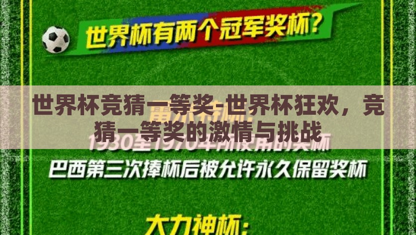世界杯竞猜一等奖-世界杯狂欢，竞猜一等奖的激情与挑战，点燃激情与挑战，世界杯竞猜挑战赛