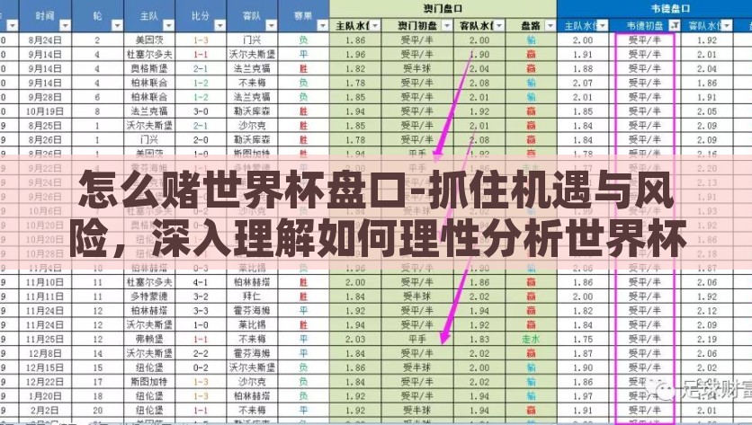 怎么赌世界杯盘口-抓住机遇与风险，深入理解如何理性分析世界杯足球赛盘口，世界杯足球赛盘口分析及风险把握，理性布局，抓住机遇