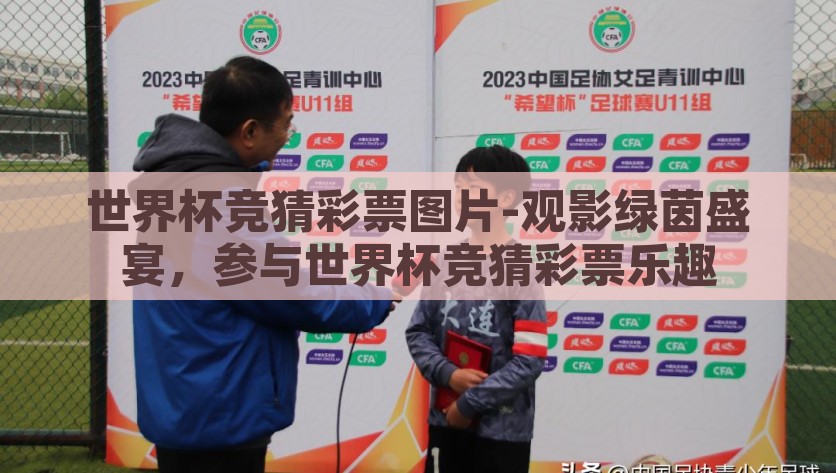 世界杯竞猜彩票图片-观影绿茵盛宴，参与世界杯竞猜彩票乐趣，绿茵盛宴中的幸运参与，世界杯竞猜彩票的乐趣与激情