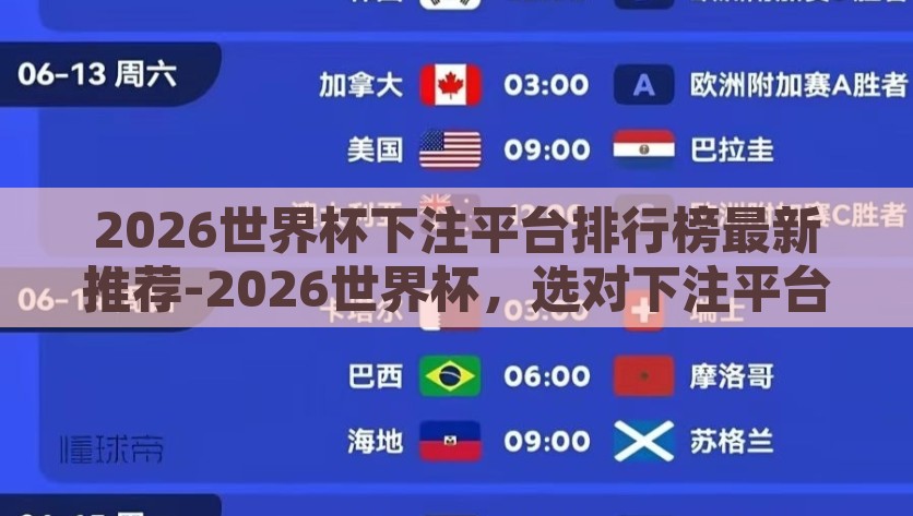 2026世界杯下注平台排行榜最新推荐-2026世界杯，选对下注平台的智慧指南，2026世界杯下注平台最佳选择指南，智慧投注的必备攻略