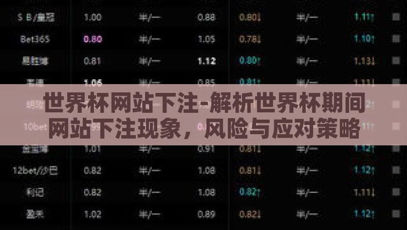 世界杯网站下注-解析世界杯期间网站下注现象，风险与应对策略，揭秘世界杯期间的网站下注现象，风险与应策略解构