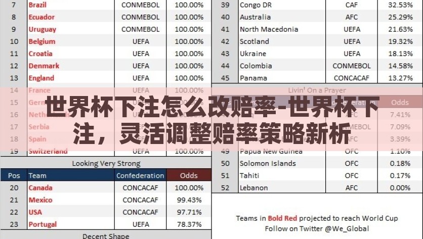 世界杯下注怎么改赔率-世界杯下注，灵活调整赔率策略新析，灵活调整，世界杯下注的赔率策略新解