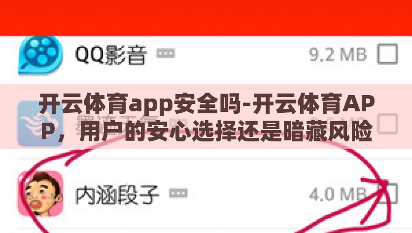 开云体育app安全吗-开云体育APP，用户的安心选择还是暗藏风险？开云体育APP——安全与风险并存的双重考验