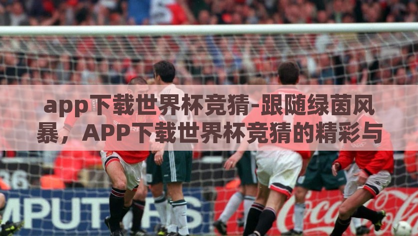 app下载世界杯竞猜-跟随绿茵风暴，APP下载世界杯竞猜的精彩与激情，绿茵风暴下的APP世界杯竞猜，体验激情与精彩