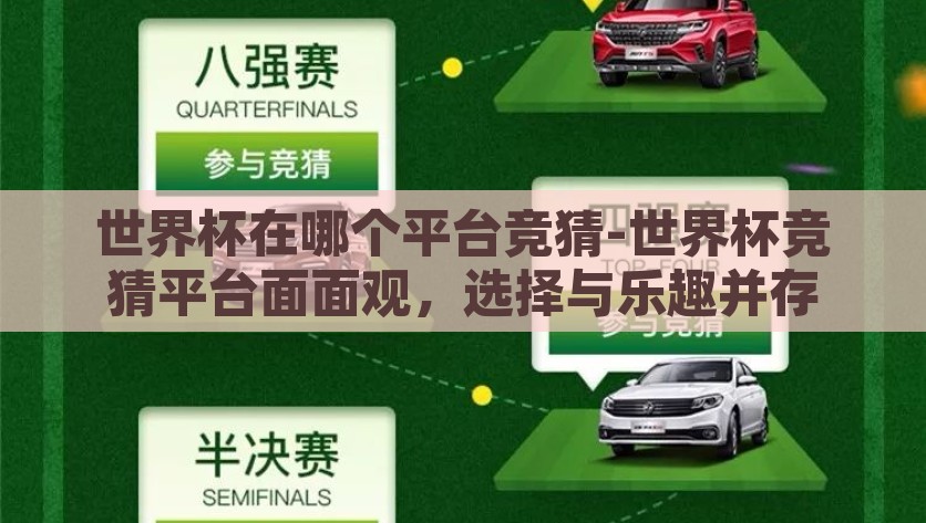 世界杯在哪个平台竞猜-世界杯竞猜平台面面观，选择与乐趣并存，揭秘世界杯竞猜平台，选择多样性与乐趣共存的竞技场