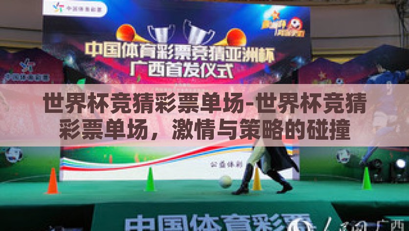 世界杯竞猜彩票单场-世界杯竞猜彩票单场，激情与策略的碰撞，激情与策略的碰撞——揭秘世界杯竞猜彩票单场