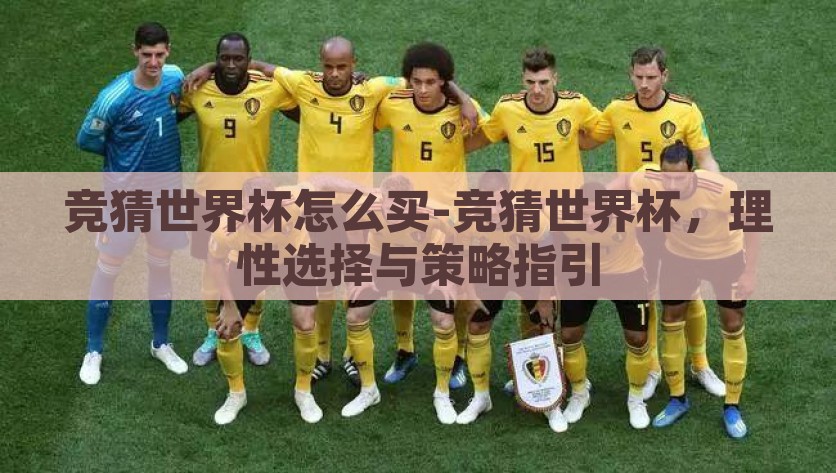 竞猜世界杯怎么买-竞猜世界杯，理性选择与策略指引，竞猜世界杯购买指南，理性选择与策略引导