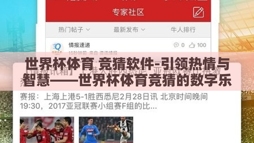 世界杯体育 竞猜软件-引领热情与智慧——世界杯体育竞猜的数字乐园，世界杯体育，竞猜软件点燃的智慧与激情之岛